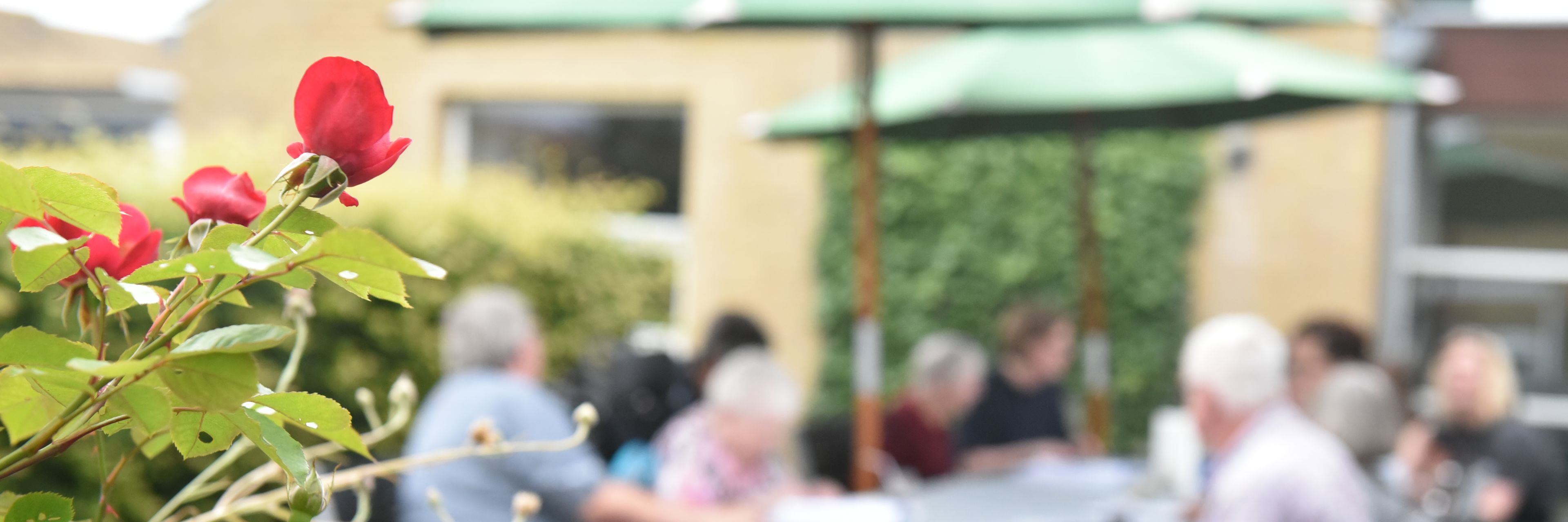 Arrangement i Landsbyen Møllevang