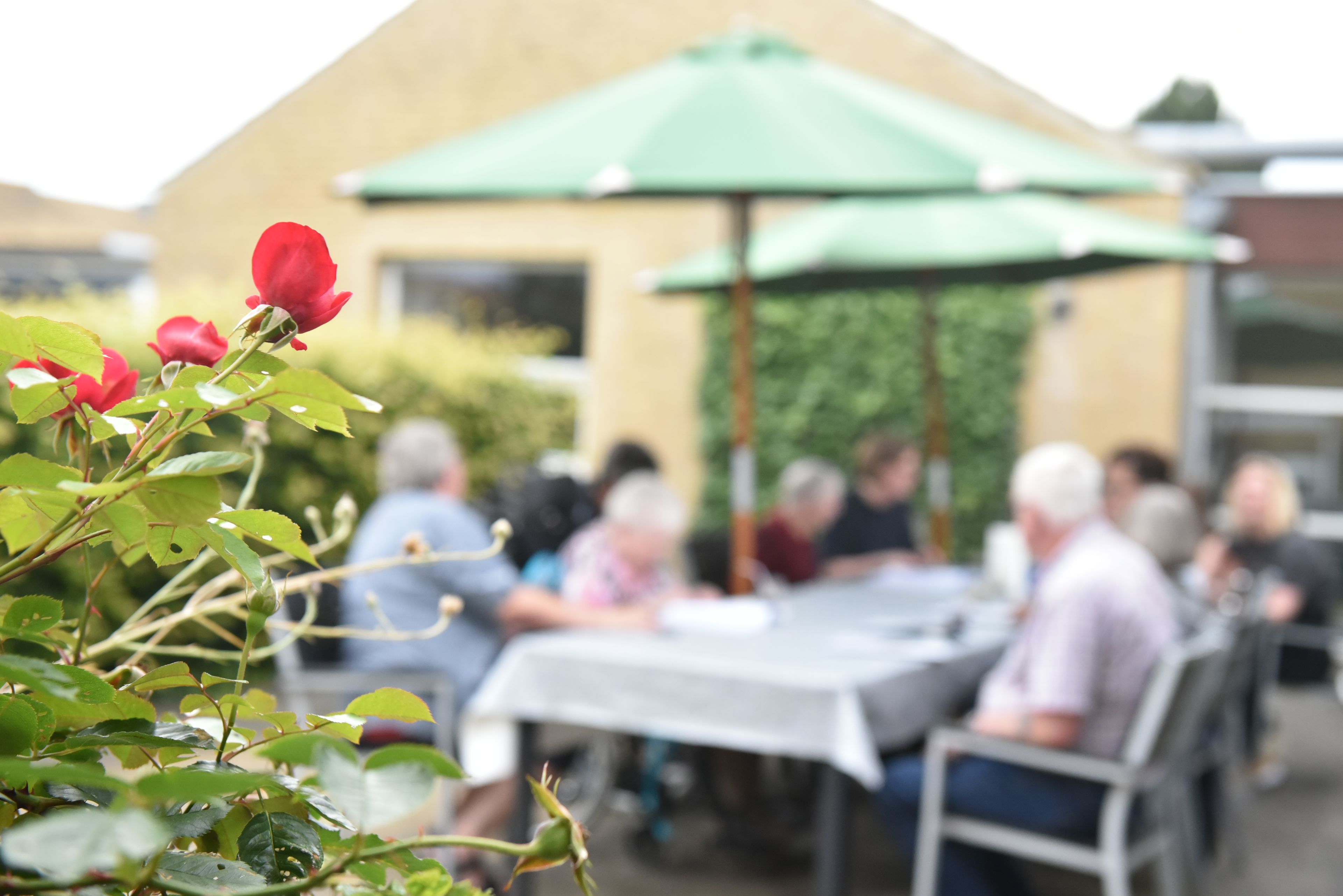 Arrangement i Landsbyen Møllevang